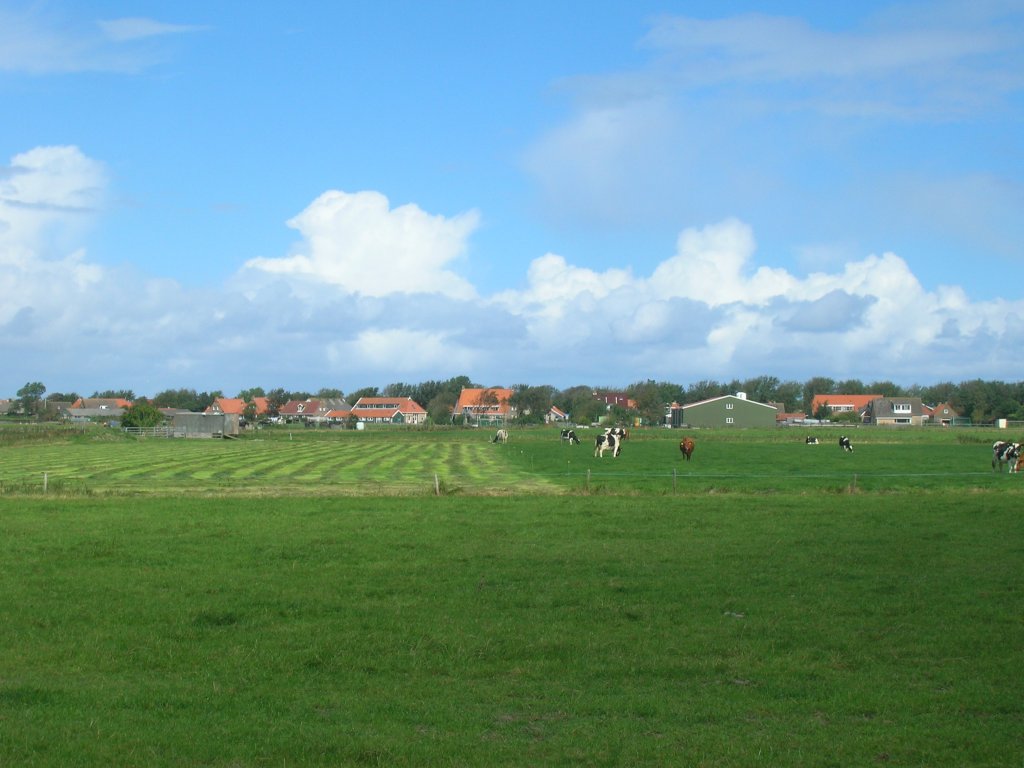 Ameland Island